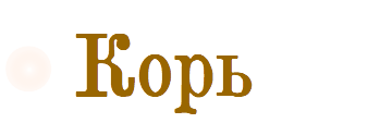 Корь