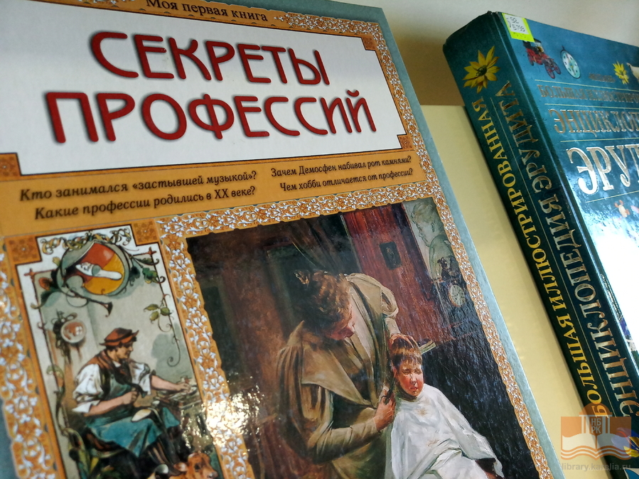 Выставка книг «Все профессии нужны, все профессии важны», посвящённая Дню фрилансера в России