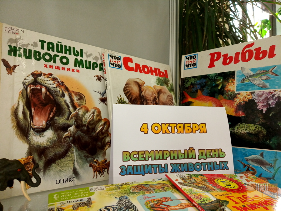 «Дикие, домашние – все такие важные»: тематическая книжная выставка в Центре детского чтения