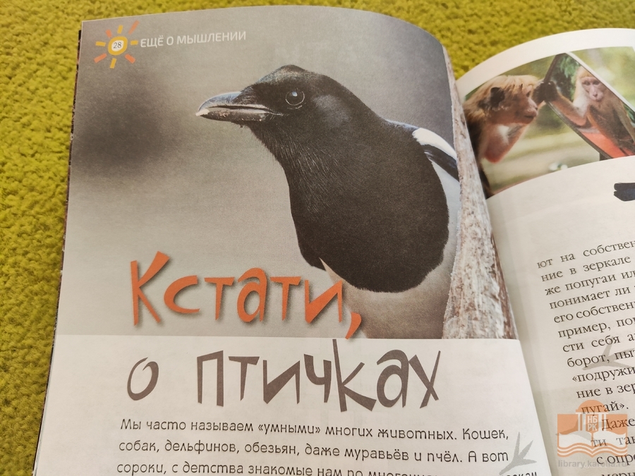Знакомьтесь: ежемесячный журнал для детей школьного возраста и их родителей «Лучик»!