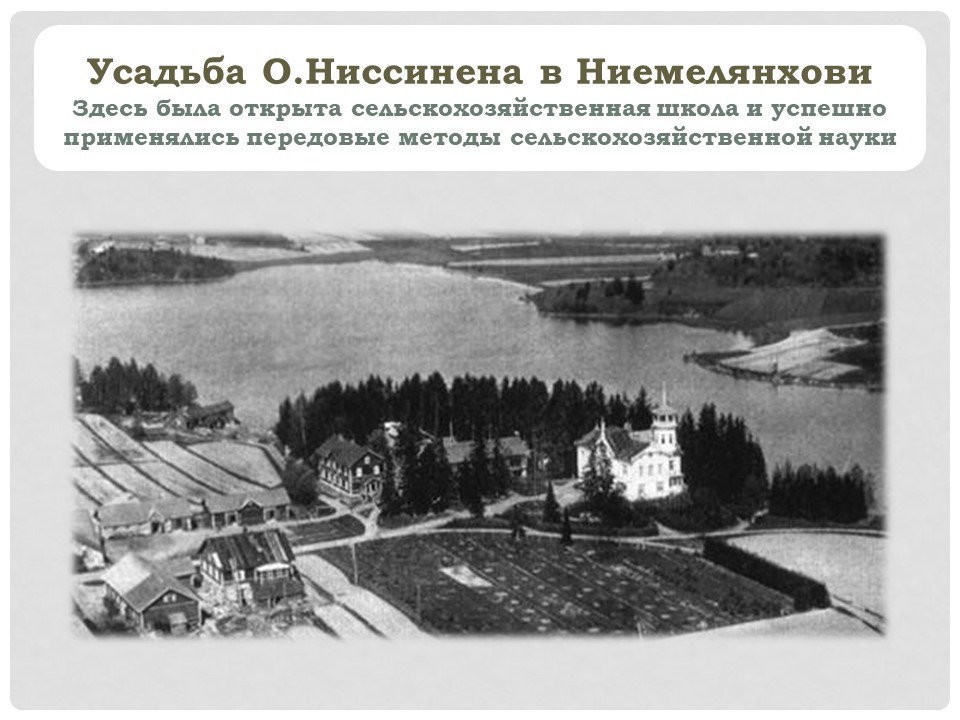 Семейное захоронение Ниссиненов л6