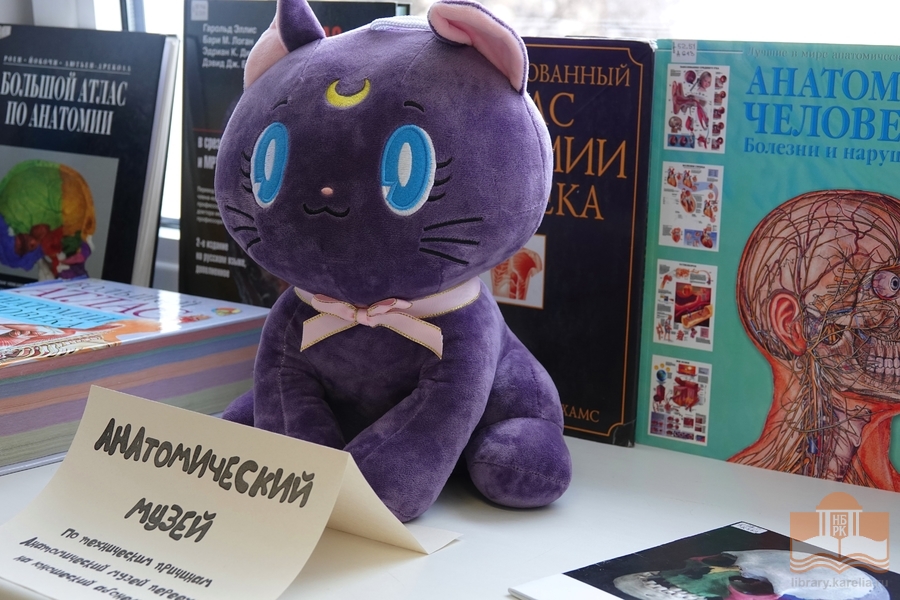 Просветительские программы с интерактивными технологиями для будущих медиков