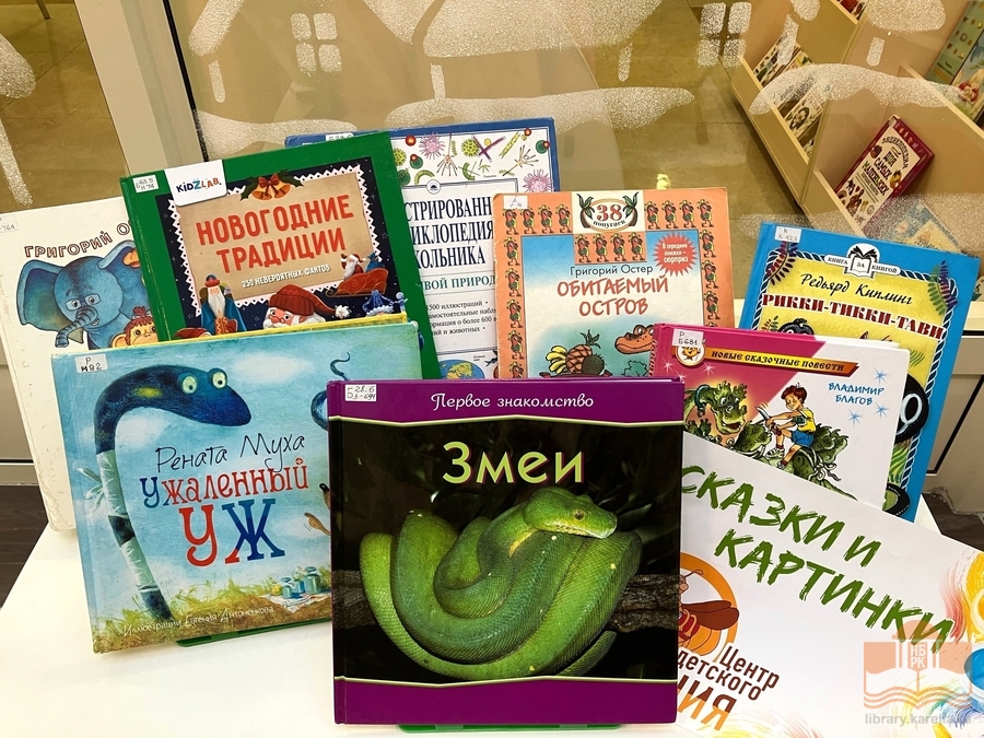 Книги из фонда Национальной библиотеки Карелии, представленные на мероприятии